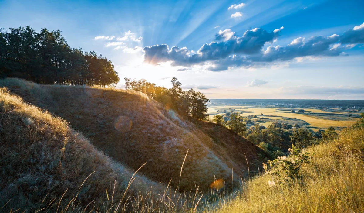 Czy można robić marketing samemu?
